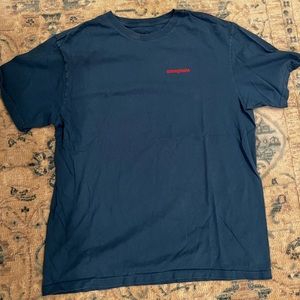 Blue Patagonia tee shirt